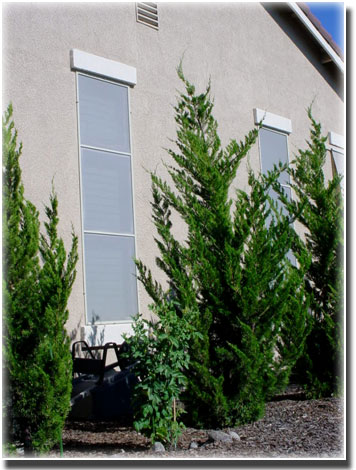 Custom Grey Privacy Screens on windows of home with large bushes in front of windows