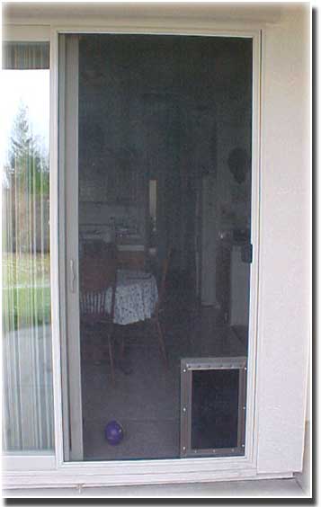 looking through a closed screen door into a home