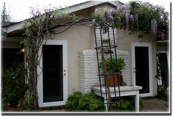 home with two doors with white trim and plants in pots