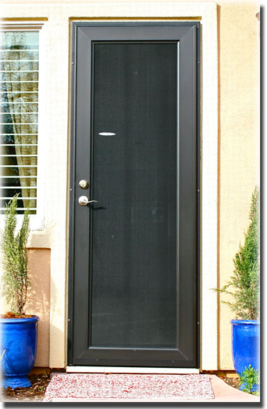 Black front door of home with two plants on porch in blue pots