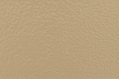 Desert Sand color swatch