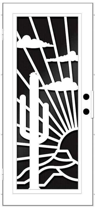 Black and White Screen door design with catcus , sun and clouds