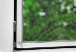 window screen in window