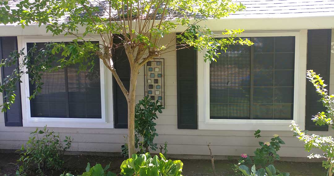 Two windows on home with white trim and black shutters with three in the middle of them and plants on the ground in front