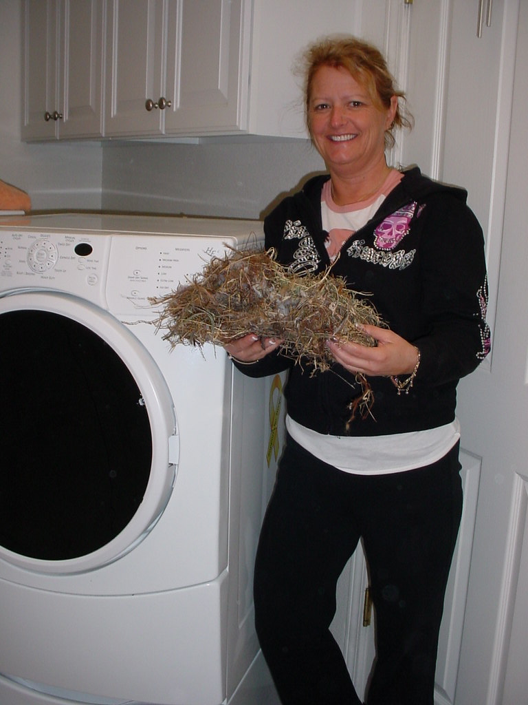woman standing next to dryer holding debris 